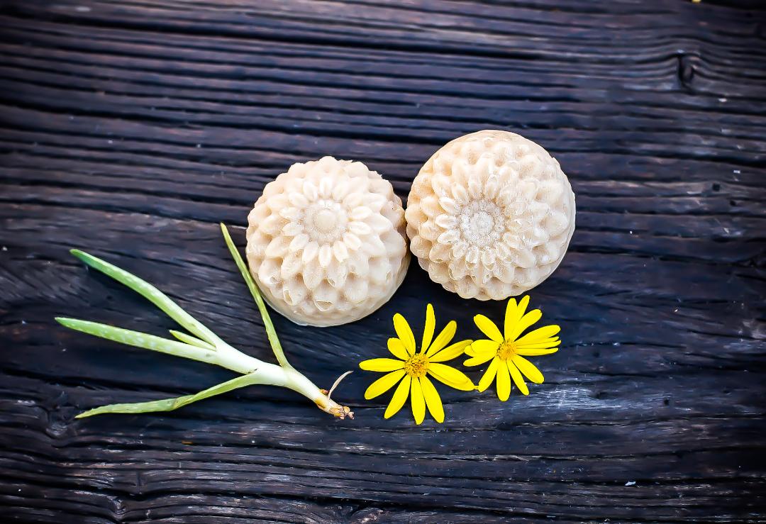 shampoo bar